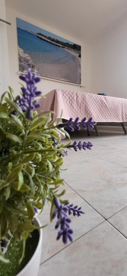 Bradisc'House Apartment Porto Torres Exterior photo